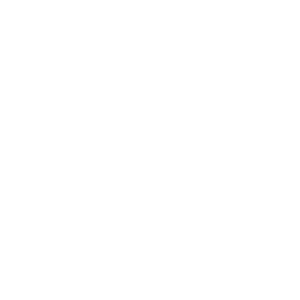 Logo_Brigada_Desminado