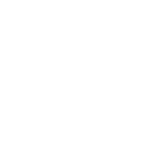 Logo_TNE